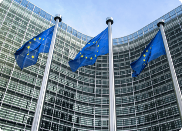 European Union flags